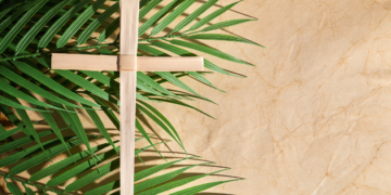 Niedziela Palmowe - palmy